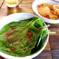 ngulinerskuy-7-jenis-kimchi-yang-ada-di-korea-selatan-laper-gan