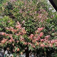 bersahabat-dengan-mantan-mungkinkah