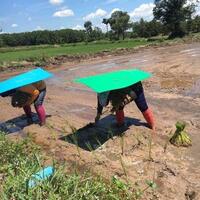 keren-ini-dia-inovasi-baru-untuk-para-petani-agar-terlindungi-dari-terik-matahari