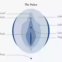 ini-5-fakta-gila-tentang-vagina-yang-tidak-akan-kalian-percaya