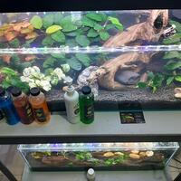 aquascape-for-everyone-learning-and-sharing---part-4