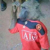 spectre-soccer-room-2019-2020