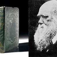 apakah-teori-evolusi-baiknya-diajarkan-di-sekolah-bgmn-dgn-penciptaan-menurut-ks