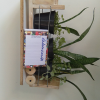 yang-suka-hijau-dan-menyegarkan-mata-tanaman-ayuk-ikutan-challenge-forum-tanaman