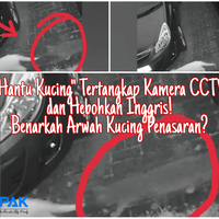 hantu-kucing-tertangkap-cctv-hebohkan-medsos-indonesia-dan-inggris-arwah-penasaran