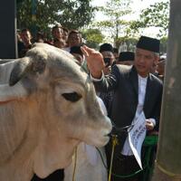 ganjar-pranowo-tak-larang-masyarakat-salat-iduladha-di-masjid