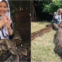 gadis-ini-pelihara-ular-piton-hingga-6-ekor-waw-keren