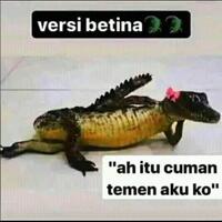 4-hewan-laut-yang-bisa-memangsa-hewan-darat