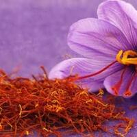 berikut-fakta-unik-saffron-kashmir-rempah-termahal-di-dunia-gansis-pernah-coba