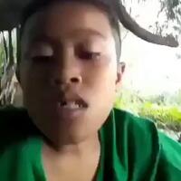 mengenal-kucing-gundul-dengan-telinga-melengkung-kucing-elf