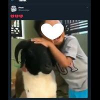 viral-bocah-tangisi-kambingnya-sebelum-dipotong-publik-ikut-patah-hati