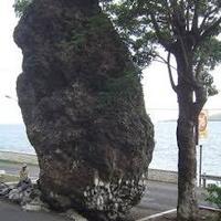 post-image