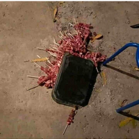 publik-ancam-laporkan-youtuber-yang-prank-bagikan-daging-kurban-isi-sampah