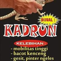 9-tokoh-oposisi-bentuk-kami-pengamat-politik-ogah-indonesia-ugal-ugalan