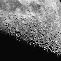 siapa-bilang-kepunahan-terjadi-1-kali-saja-kepunahan-di-bumi-ini-ternyata-5-kali-loh