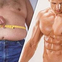 six-pack-atau-gendut