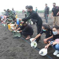 komandan-lanal-banyuwangi-bersama-bbksda-jawa-timur-lepas-581-tukik