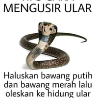 rocky-gerung-sebut-kpu-mk-dpr-dan-mpr-lembaga-pemenggal-optimisme-publik