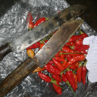 post-image