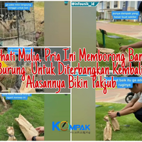 berhati-mulia-pria-ini-borong-banyak-burung-untuk-diterbangkan-kembali-alasannya