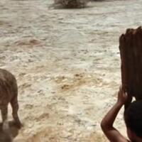 ratel-honey-badger-hewan-paling-barbar-di-muka-bumi