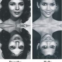 sains-vs-agama-soal-reinkarnasi