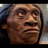 ras-hobbit-di-indonesia