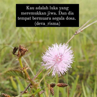 penggalan-cerbung-handini
