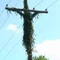 mirip-salib-sekelompok-orang-di-lhokseumawe-cat-ulang-spanduk-hut-ri-ke-75