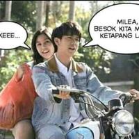 cocupangbaru-maen-cupang--nih-gan-cara-ngolah-daun-ketapang