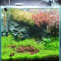 aquascape-for-everyone-learning-and-sharing---part-4