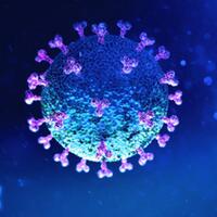 update-22-agustus-bertambah-2090-kini-ada-151498-kasus-covid-19-di-indonesia