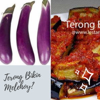 benarkah-terong-bikin-melehoy-mr-p