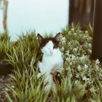 warung-ngumpul-penggemar-kamera-analog---part-6