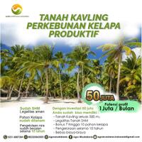 bisnis-kavling-perkebunan-kelapa-potensi-profit-1000000-bulan