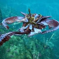 official-guild-wars-2-b2p--free-to-play-f2p