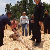 pertama-kali-di-indonesia-hakim-putuskan-pidana-berlapis-pelaku-tambang-illegal