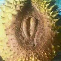 pa-212-rizieq-shihab-imam-tertinggi-di-dunia-islam