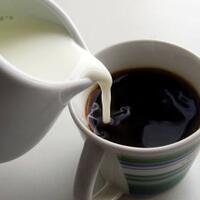 pilih-kopi-atau-susu