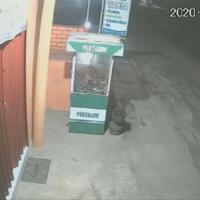 hiiii-viral-motor-tua-jalan-sendiri-saat-subuh