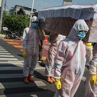 8-ribu-lebih-meninggal-ini-riwayat-kematian-corona-ri-sepekan-terakhir