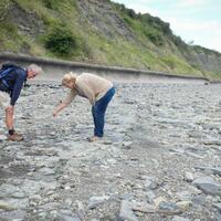 jejak-kaki-dinosaurus-banyak-ditemukan-di-pantai-wales