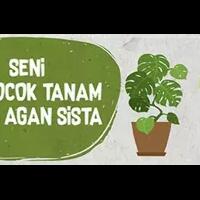 sayang-dibuang-air-leri-pun-bisa-dibuat-menyiram-tanaman