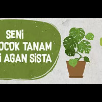 tips-berkebun-bagi-pemula-menyiasati-daerah-perumahan-yang-tidak-subur