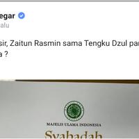 ustaz-dasad-hingga-cholil-nafis-punya-sertifikat-daidsmana-punya-novel-tengkuzul