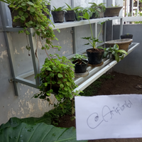 yukshare-taman-indah-di-rumah-gansis