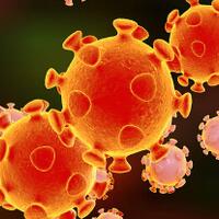 studi-virus-corona-baru-mampu-menyerang-otak