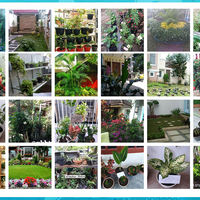 update-pemenang-community-challenge-quottunjukkan-taman-dirumahmu-gansisquot