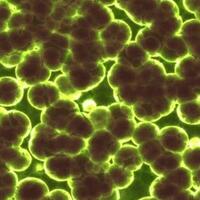 pabrik-biofarmasi-china-bocor-ribuan-orang-kena-bakteri