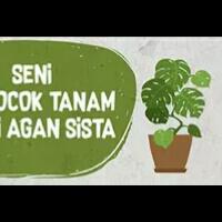 pengalaman-pertama-bercocok-tanam-di-tanah-merah